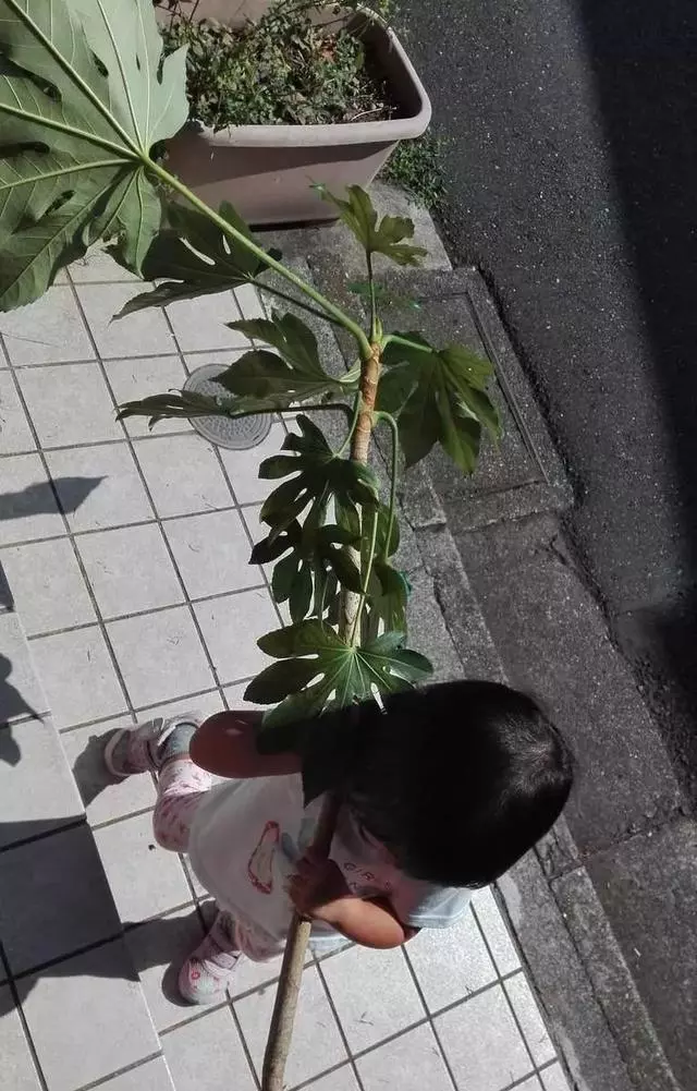 日本媽媽育兒崩潰的瞬間,放小孩自己玩房間秒變案件現場