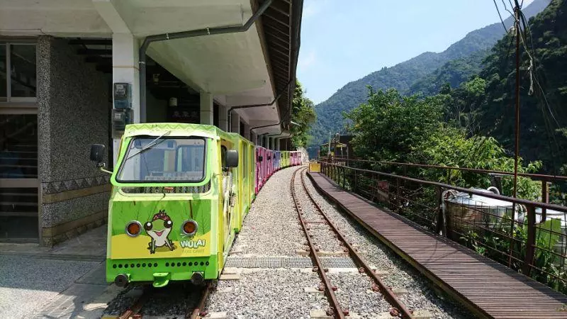 慶雙十!連假訪新竹森林樂園半價 12歲以下兒童免費