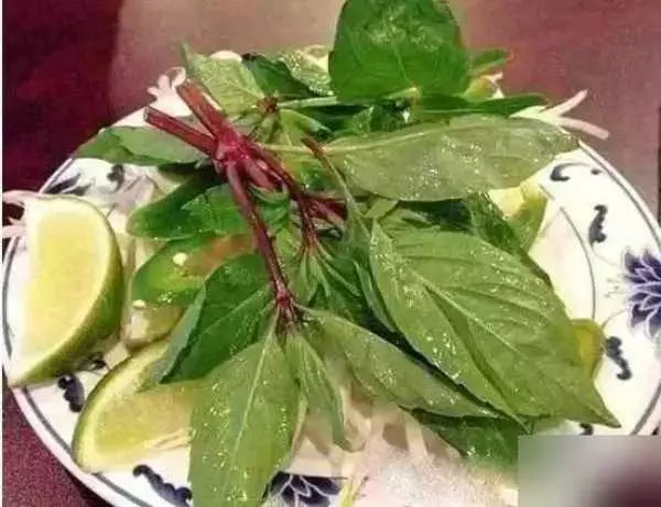 越南34怪:一夫多妻隨便拽,實情驚人!