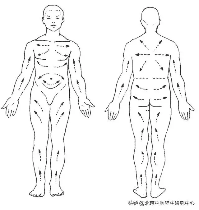 手與人體臟腑的對應位置及身體按摩方向