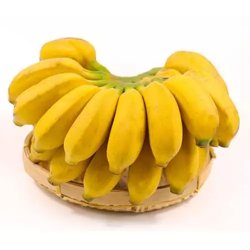 芭蕉雖能降血糖,卻也是升血糖一把手,糖友要儘量避免食用芭蕉,