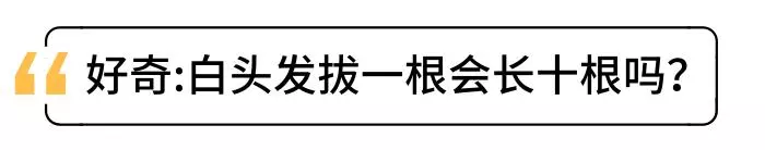 白髮拔一根長十根,是真的嗎?想讓白髮變少,做4件事才實在 !