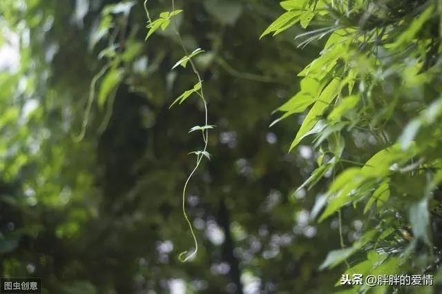 低調做人,你會一次比一次穩健;高調做事,你會一次比一次優秀 !