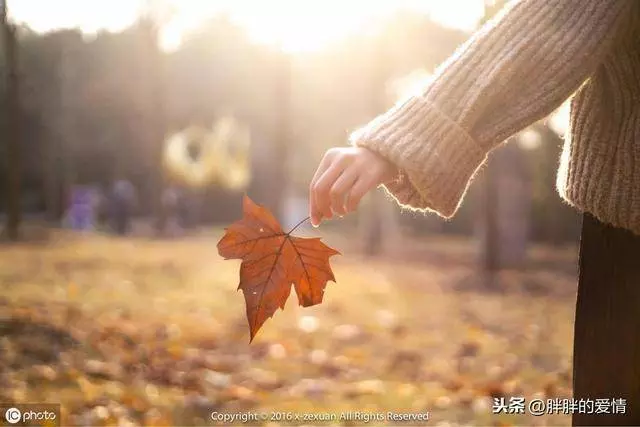 低調做人,你會一次比一次穩健;高調做事,你會一次比一次優秀 !