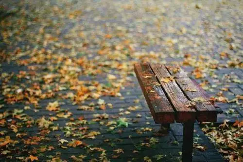 抵抗力差,不妨多吃深色蔬菜:紅色、紫色、深綠色幾種都不要錯過 !