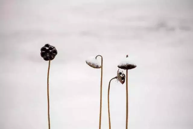 人到中年:為何越來越沉默,越來越不想說?