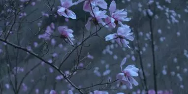 90後女網紅私生活曝光:這些照片,戳痛了成人世界最柔軟的地方