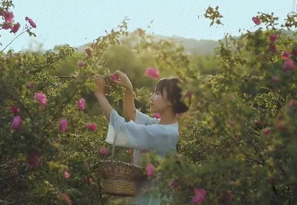 90後女網紅私生活曝光:這些照片,戳痛了成人世界最柔軟的地方