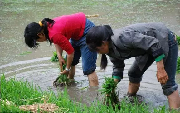 兒子接我進城養老,孫子笑著塞我一隻棒棒糖,嘗一口我淡定回家
