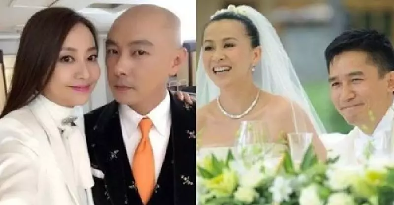 結婚多年卻沒有孩子的5對明星, 張衛健與張茜令人心痛,最後一對竟然十年沒有同房!