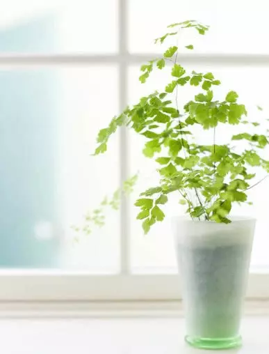 心理學:你第一眼看見什麼?秒測你的性格有多固執!