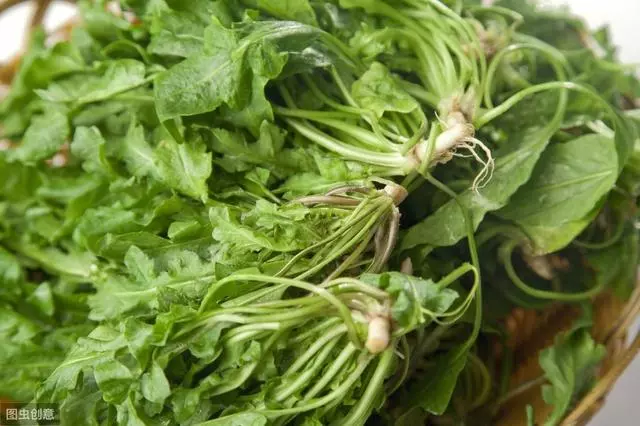 腎炎、血尿、蛋白尿纏身?推薦5種食療食譜,值得收藏
