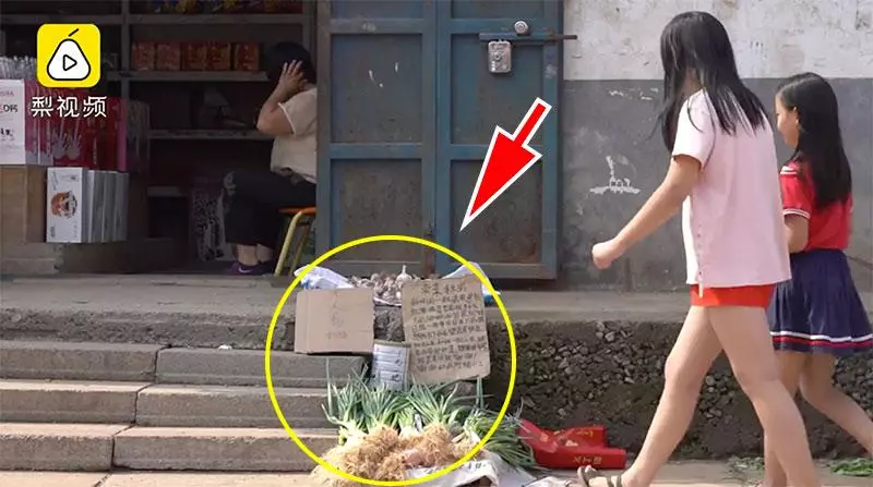 11歲男孩每天上學前擺攤只為「賣菜救弟」!一把菜僅賣RM0.50,全存給弟弟「41萬的醫療費」治病!
