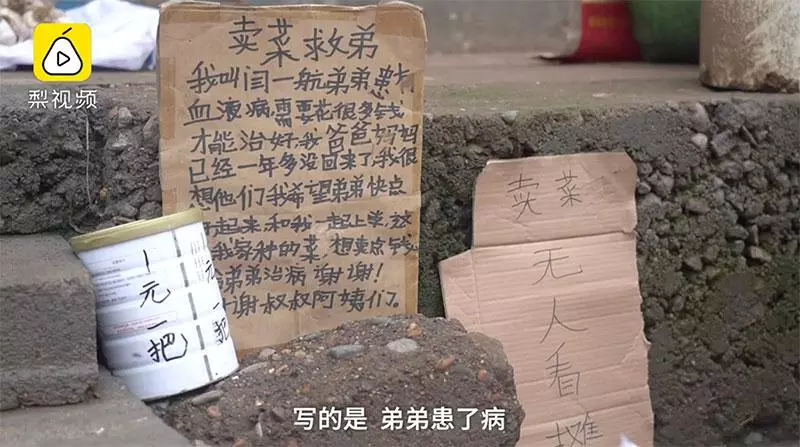 11歲男孩每天上學前擺攤只為「賣菜救弟」!一把菜僅賣RM0.50,全存給弟弟「41萬的醫療費」治病!