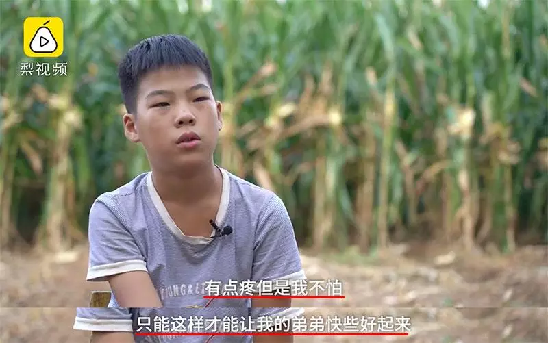 11歲男孩每天上學前擺攤只為「賣菜救弟」!一把菜僅賣RM0.50,全存給弟弟「41萬的醫療費」治病!