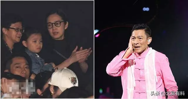朱麗倩現身劉德華演唱會,熱情搖擺示愛鏡頭被歌迷錄下!