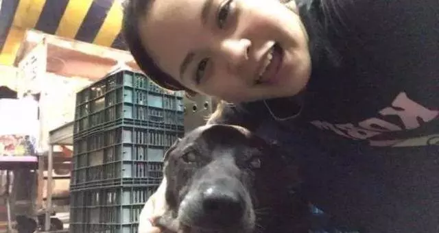 15歲狗狗快要離開世界,它拚命爬上三樓,只為看一眼主人遺照!