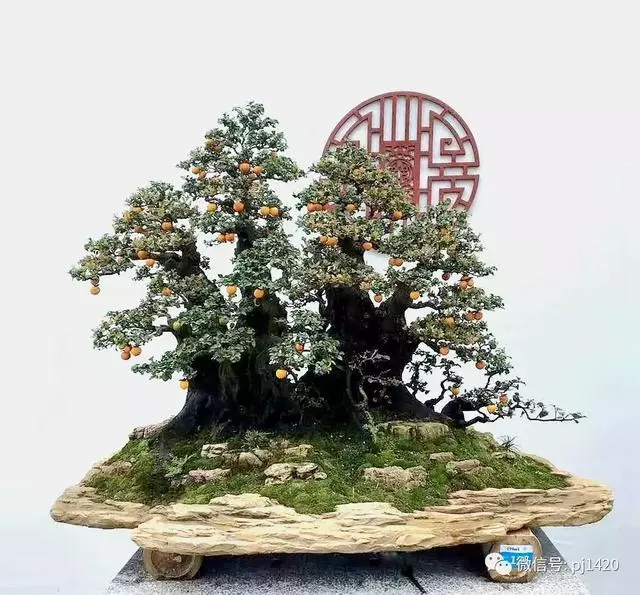 這門「功夫」學不會,養上十年都白費