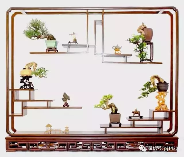 這門「功夫」學不會,養上十年都白費