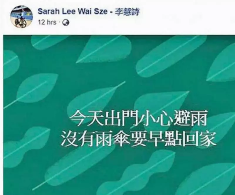 李慧詩發聲撐港人 Facebook專頁離奇「被消失 」