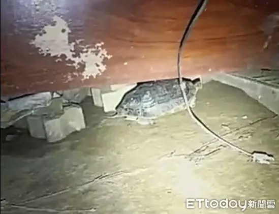 獨/探訪廢棄眷村電視機開機 電源線早斷掉!直播主秒撤:阿公你慢看... | ETtoday社會 | ETtoday新聞雲
