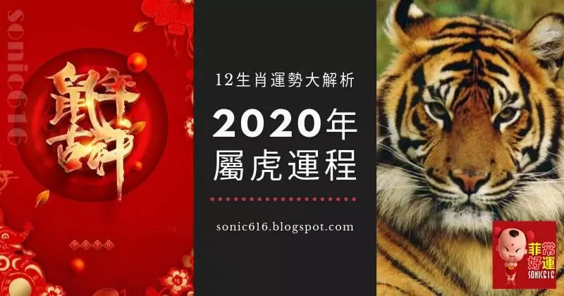2020年12生肖運勢大解析 - 屬虎