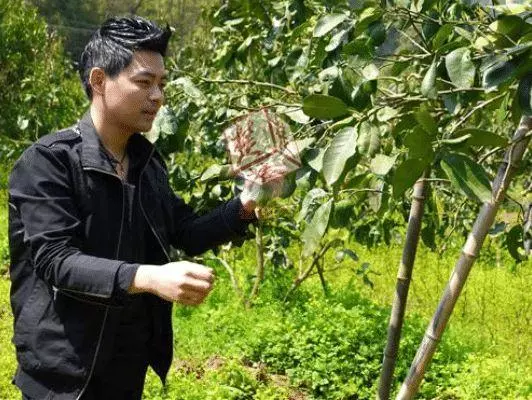 果農酷似林志穎走紅,靠臉賣水果年入百萬,網友:帥都能當飯吃?