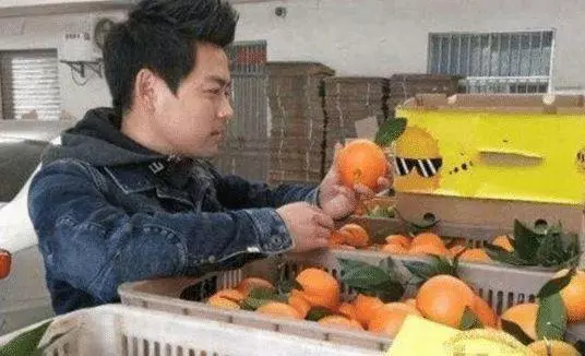 果農酷似林志穎走紅,靠臉賣水果年入百萬,網友:帥都能當飯吃?