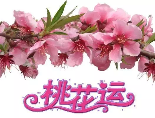 十二生肖各有各的好運!你屬什麼生肖,10月就走什麼運 !