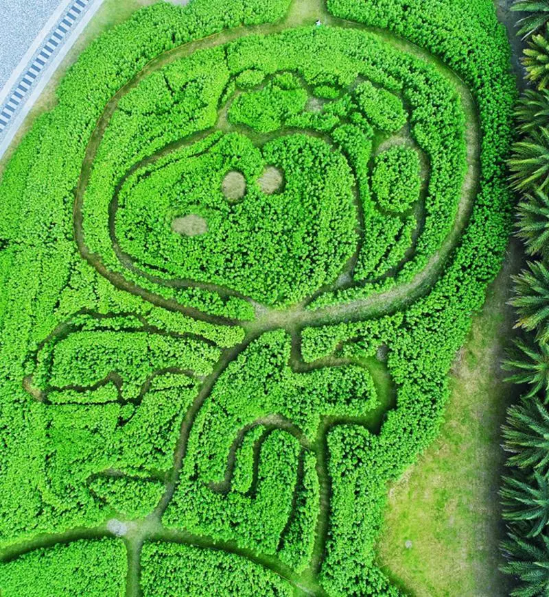 粉絲快衝!全台首座「史努比迷宮」8公尺大氣球、星光版史努比超好拍 !