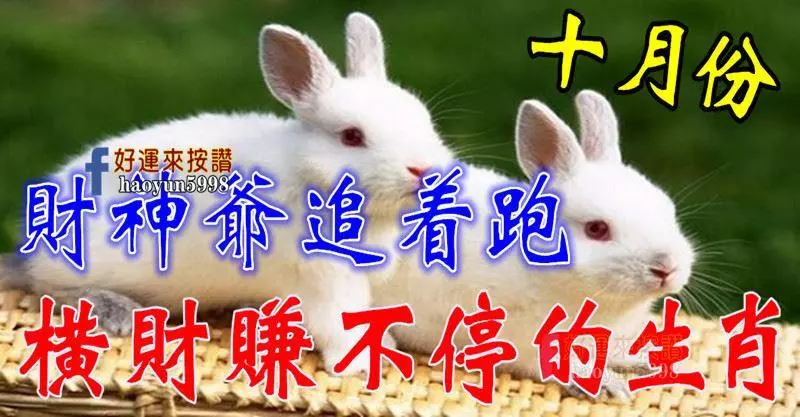 十月份財神爺追著跑,橫財賺不停的生肖