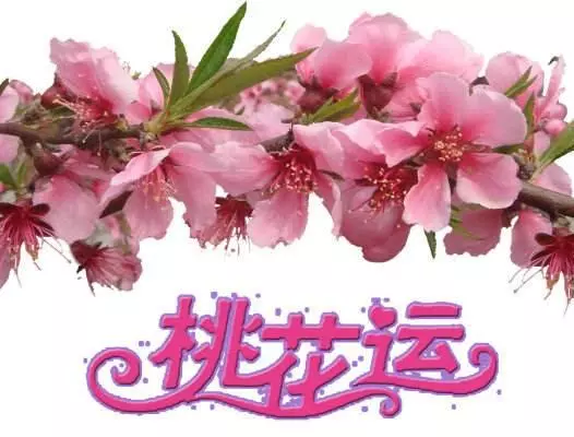 十二生肖各有各的好運!你屬什麼生肖,10月就走什麼運