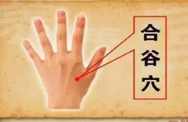 身上6大「救命穴」,血壓升高、休克都有效,趕緊學會,留著急用!