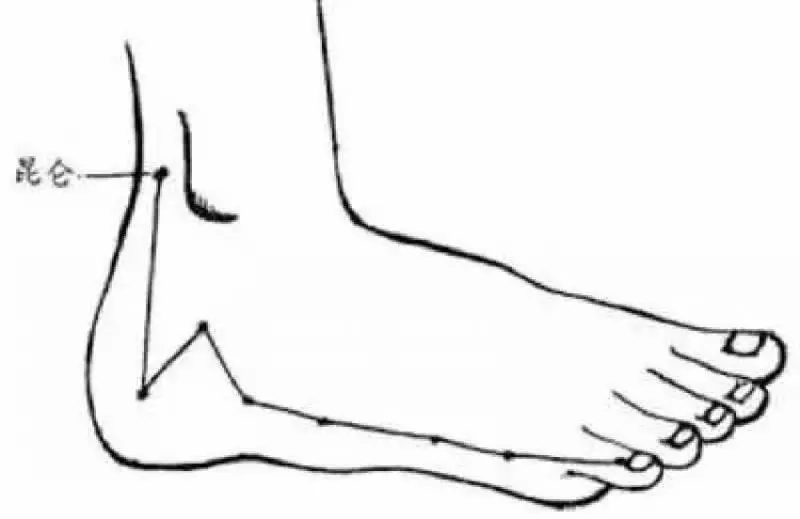 身上6大「救命穴」,血壓升高、休克都有效,趕緊學會,留著急用!