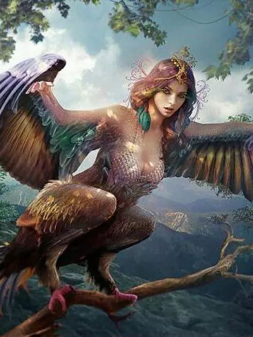 世界上最大的「鳥」:擁有超帥側臉,與成年人並排全身照 !