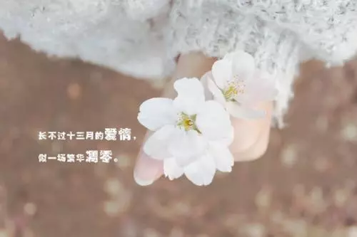 往後餘生經典語錄,人生的許多人和事,不是不懂,而是無奈 !