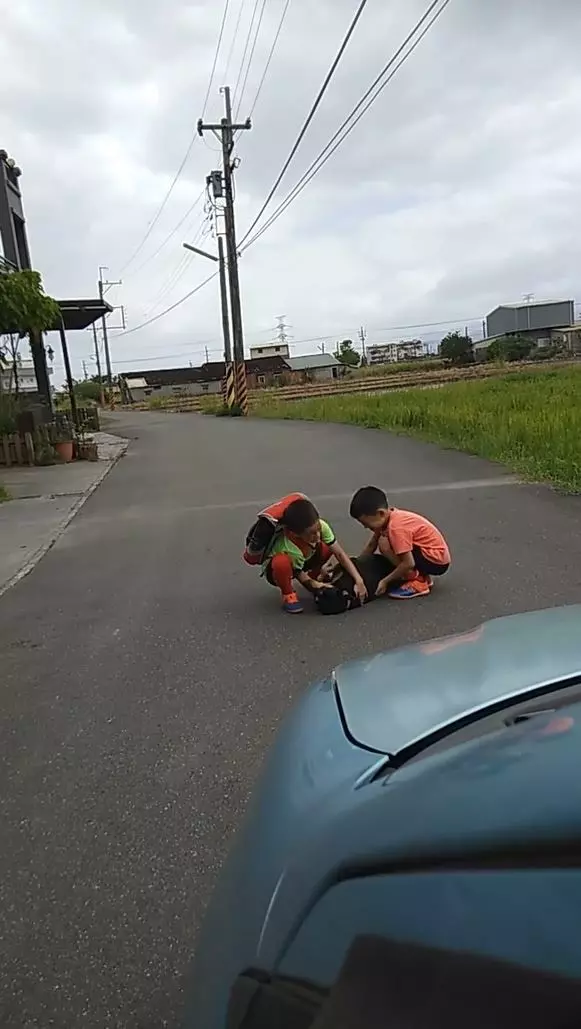 「路霸犬」聽到喇叭聲卻拒絕讓開 無奈媽派小孩移障礙物:你起來啦