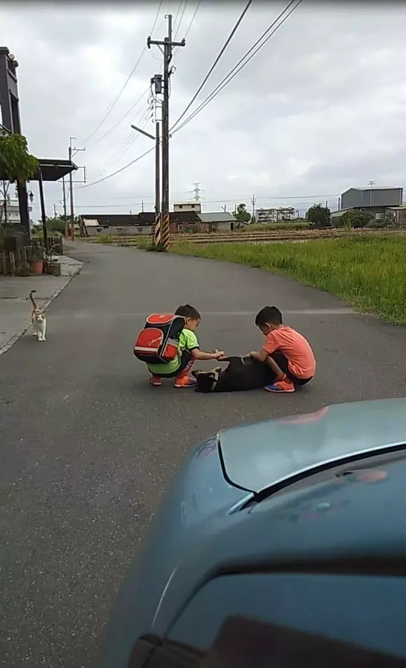 「路霸犬」聽到喇叭聲卻拒絕讓開 無奈媽派小孩移障礙物:你起來啦