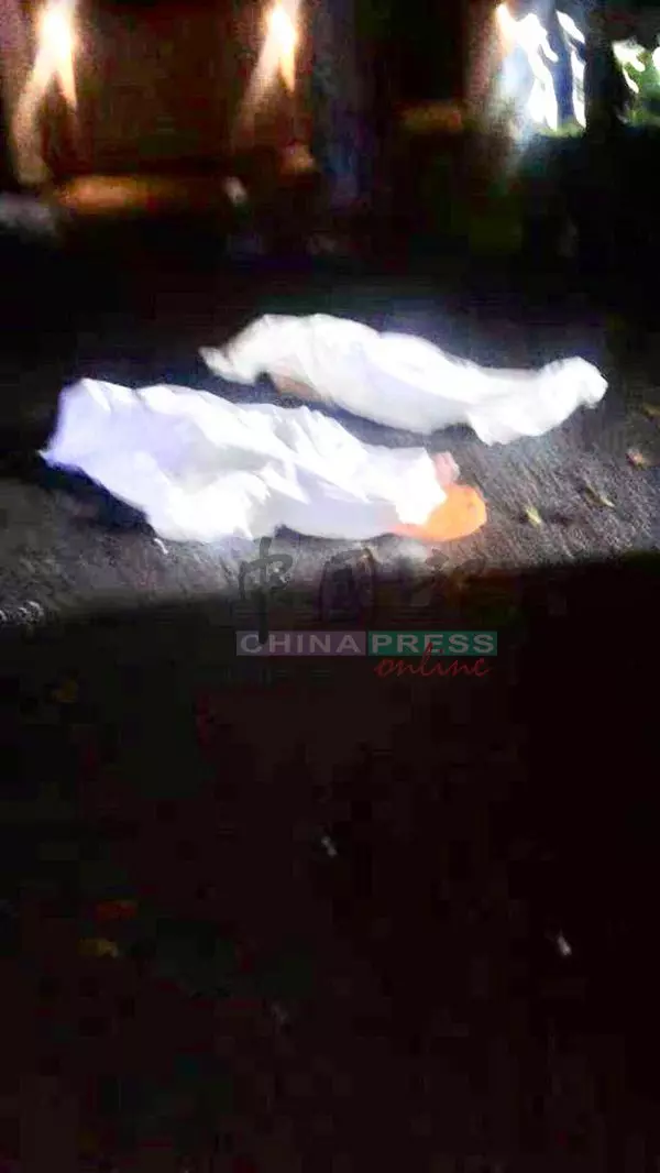 轎車失控撞樹 情侶共赴黃泉