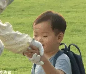 屬虎、蛇、狗的人要發達了!麥玲玲2020年十二生肖運程提前睇