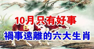 運勢大翻身!十月將近 「黴運散盡」 即將迎來好事的6大生肖