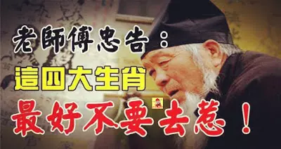 四大生肖,脾氣大,財氣也大