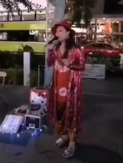 傳遭家人轉移財產 許美靜街頭賣唱境況淒慘