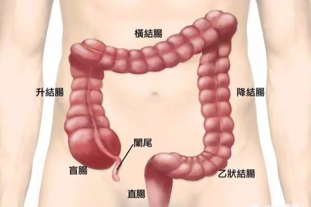 經常放屁的人,基本都存在4個毛病!你自己可能沒發現
