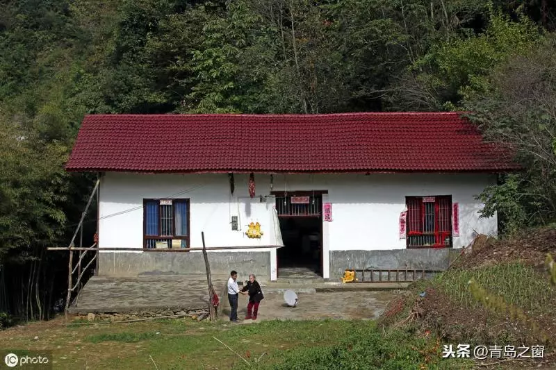 老母患病孝兒辭職回家!全天候陪伴「每天牽手曬太陽」,三餐親餵「揹媽媽找老友聊天」5年來從不喊累