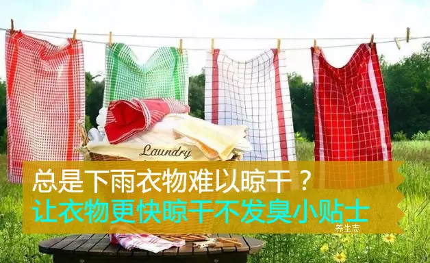 總是下雨衣物難以晾乾?讓衣物更快晾乾不發臭小貼士 !