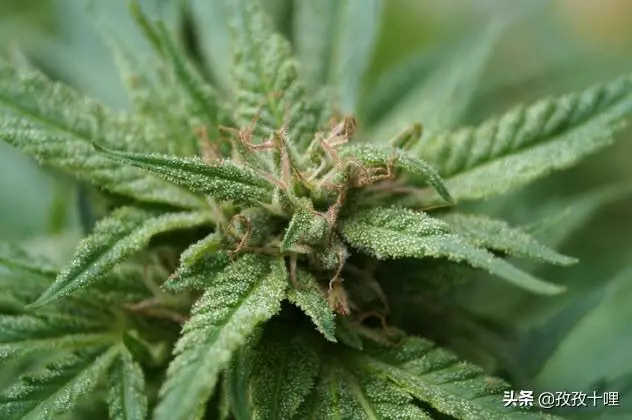10個世界上最古老的發現,刷新我們的歷史認知 !