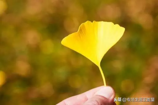 一生中,任何人,都無能為力的八件事