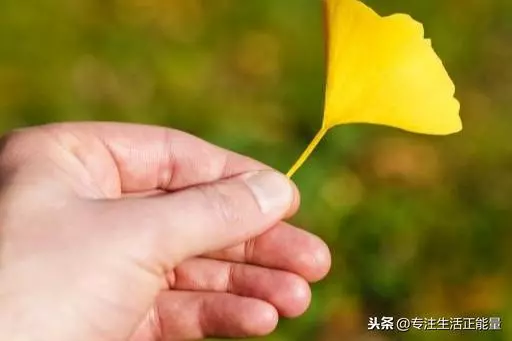 一生中,任何人,都無能為力的八件事