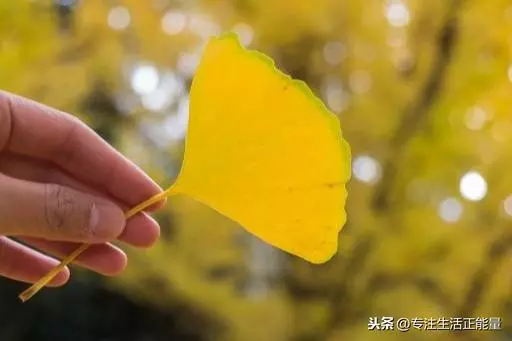 一生中,任何人,都無能為力的八件事
